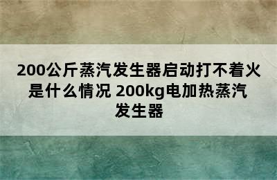 200公斤蒸汽发生器启动打不着火是什么情况 200kg电加热蒸汽发生器